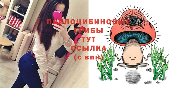 apvp Володарск