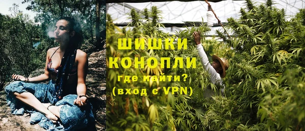 СК Богородск