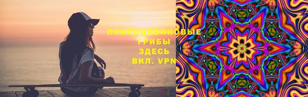 сатива Волосово