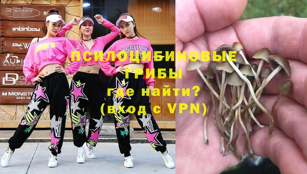 дурь Бугульма