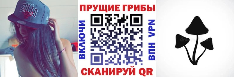 MEGA рабочий сайт  Грязи  Псилоцибиновые грибы мицелий  купить наркоту 